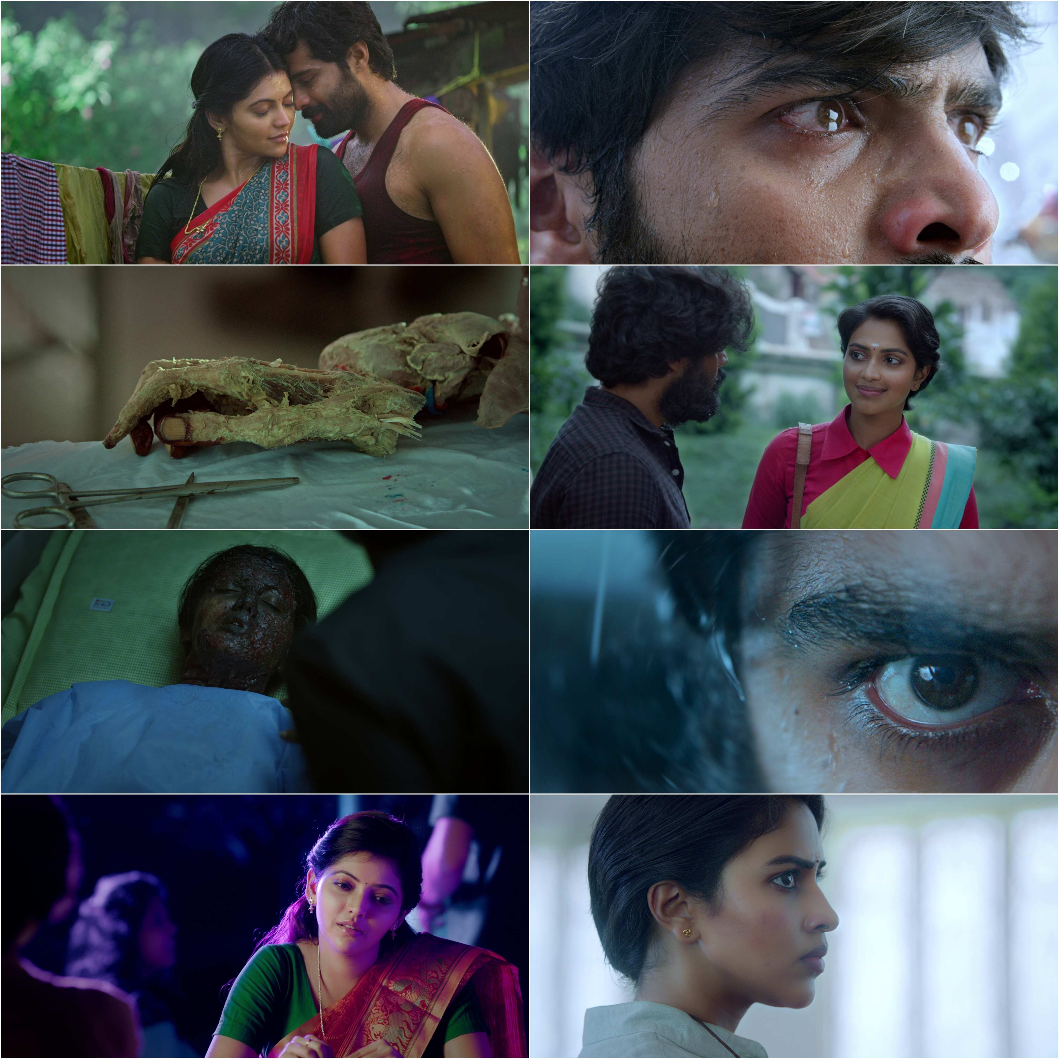 Cadaver (2022) (Hindi + Tamil) Dual Audio UnCut South Movie HD ESub Screenshot